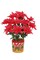 18" Red Poinsettia Bush, Waterproof Artificial Flowers, 14 Bloom Stems for Home Decor, Holiday Arrangements – 12 Pieces